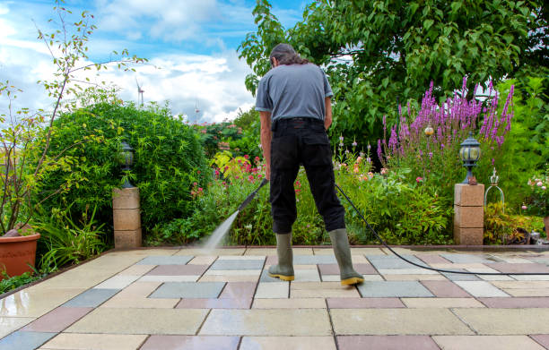 Best Gutter Cleaning  in Twisp, WA
